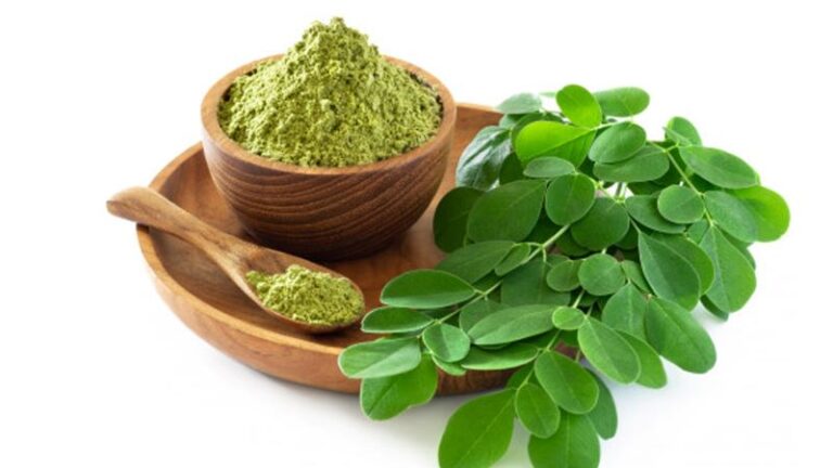 Moringa Oleífera