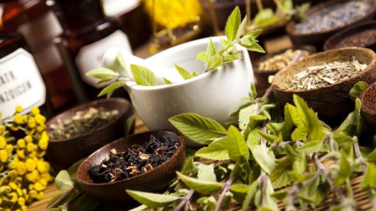 9 plantas com propriedade antiviral