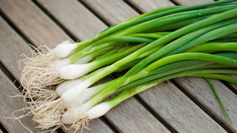 Cebolinha, coisas que você precisa saber