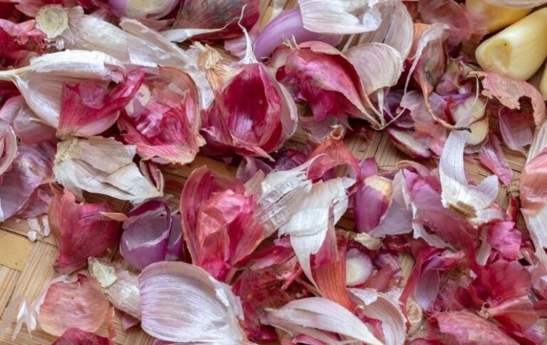 Não jogue fora as cascas do alho