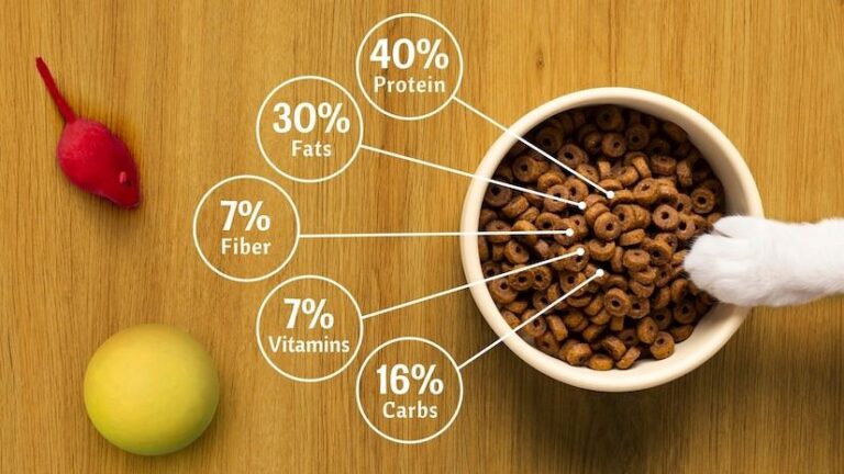 Transição Alimentar