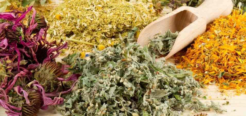 Defumação é capaz de purificar o ambiente