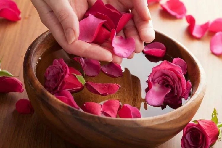 Aprenda a fazer sua própria água de rosas
