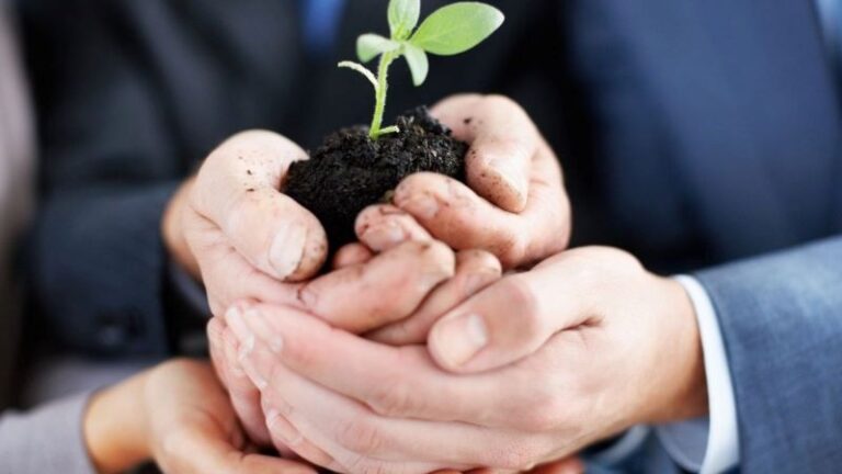 Como Implementar um Estilo de Vida Sustentável