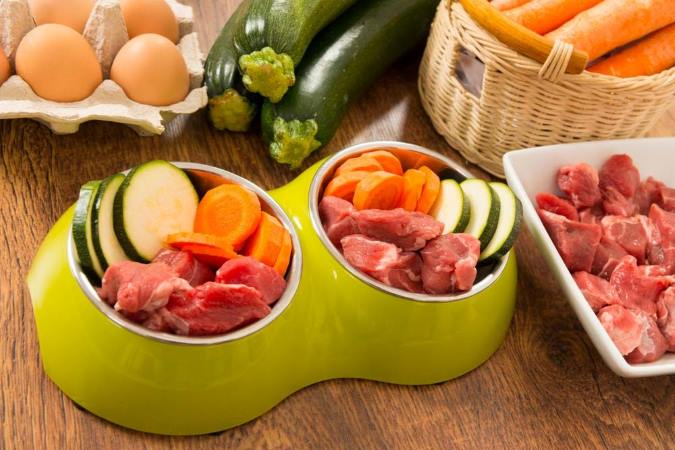 Alimentos Light e Obesos Para Pets