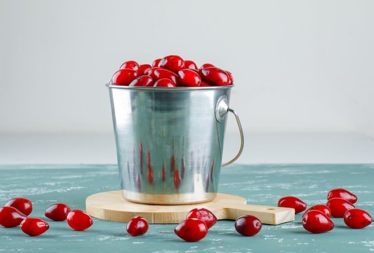 Como Hidratar Goji Berry. Neste artigo, vamos explorar técnicas de hidratação, benefícios para a saúde. Saiba mais em nosso site