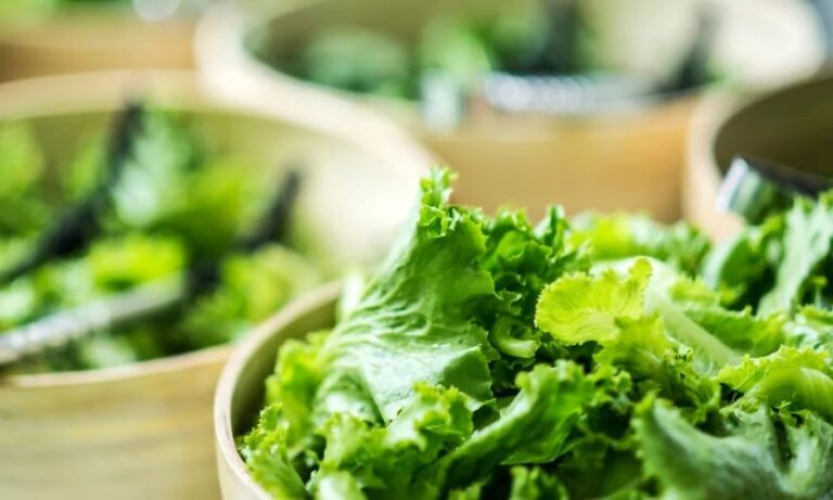 Como Conservar a Alface na Geladeira e Evitar que Murche: Dicas Práticas e Eficazes