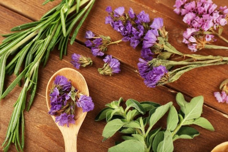 6 Plantas Medicinais Essenciais para Cultivar essas plantas em casa é um passo simples e eficaz para se ter acesso a tratamentos naturais