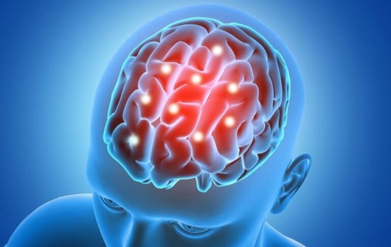 Envelhecimento do Cérebro. A Importância dos Hábitos Saudáveis para o Cérebro a Partir dos 40 Anos. Acompanhe em nosso site!