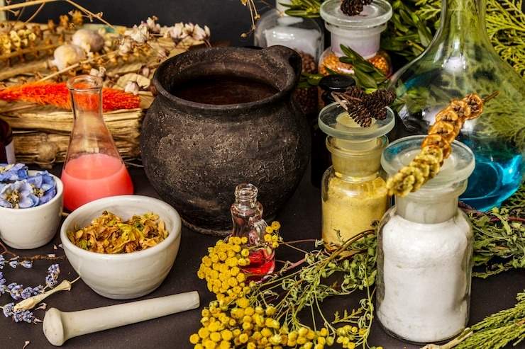 Plantas Poderosas da Medicina Antiga e Suas Funções Curativas. Incorporar essas plantas na rotina diária proporciona diversos benefícios