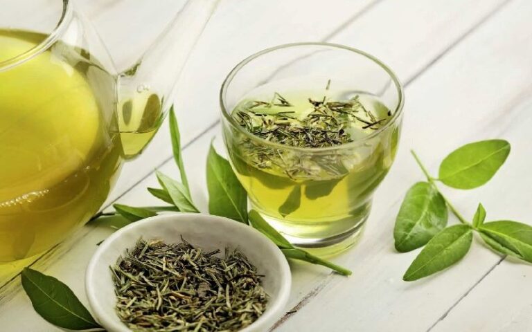 o chá de ora-pro-nóbis e você deveria consumi-lo é uma bebida funcional que pode trazer inúmeros benefícios para a sua saúde.