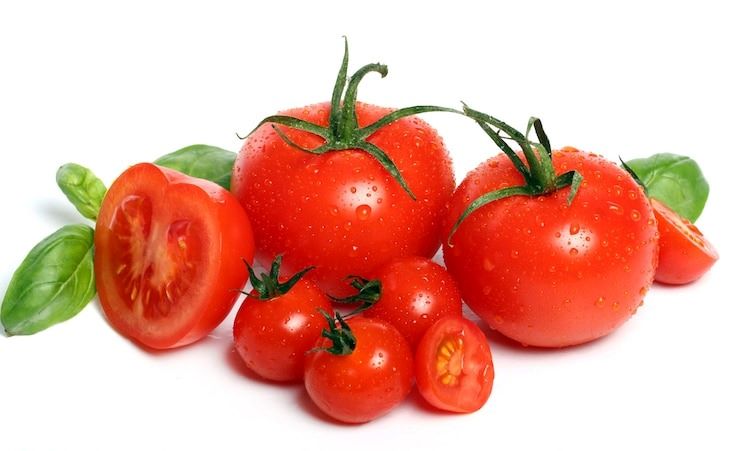 Como cultivar tomates em casa? Este guia completo ensina tudo o que você precisa saber, desde a escolha das sementes até a colheita.