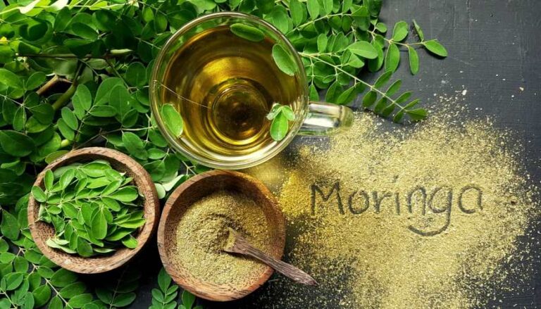 Chá de Moringa: a bebida que fortalece os ossos com 22 vezes mais cálcio que o leite de vaca. Saiba mais vendo a matéria em nosso site