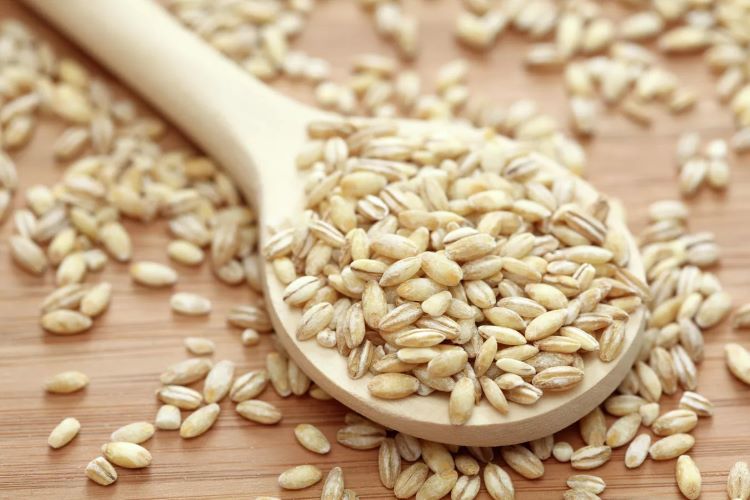 Cevada: O Grão Milenar que Vai Muito Além da Cerveja. A cevada (Hordeum vulgare) é um cereal da família das gramíneas