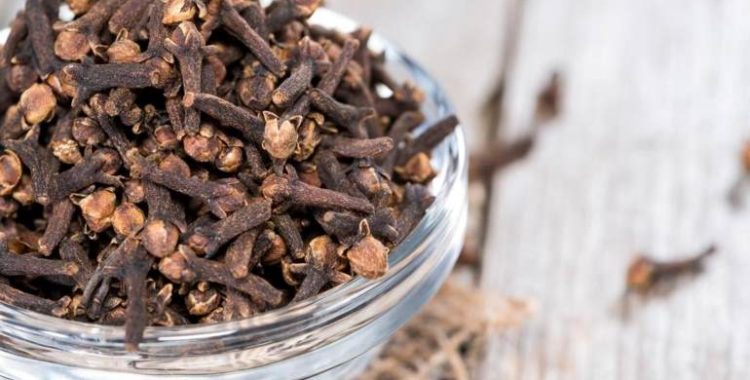 17 benefícios do cravo-da-índia