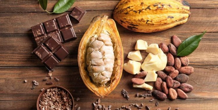 5 maneiras de incorporar cacau na sua dieta 5 maneiras de incorporar cacau na sua dieta