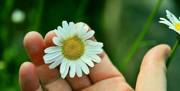 7 Maneiras de ter mais força interior