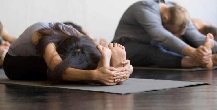 7 benefícios do yoga para a saúde 7 benefícios do yoga para a saúde