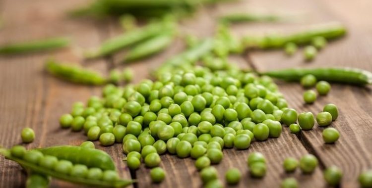 9 Razões para Incluir Ervilhas 9 Razões para Incluir Ervilhas na Dieta. Exploramos aqui todos os benefícios detalhados de incluir ervilhas na alimentação