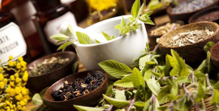 9 plantas com propriedade antiviral