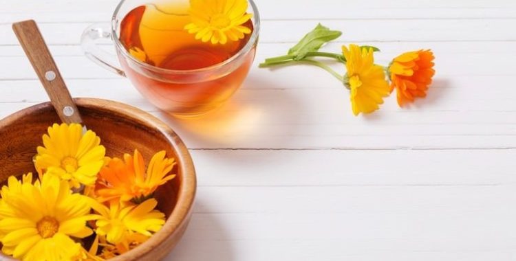 Alguns Benefícios da Calêndula