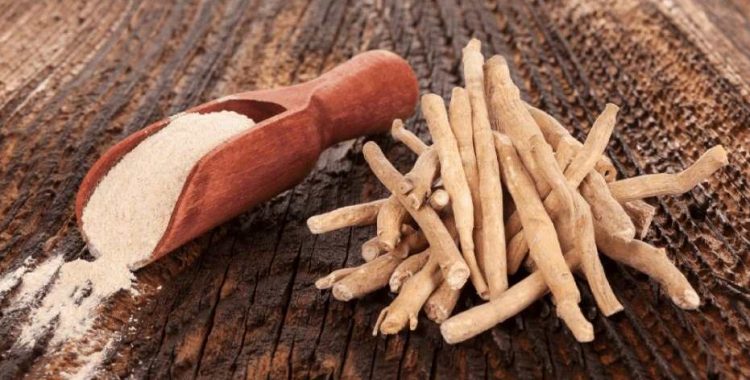Benefícios da Ashwagandha