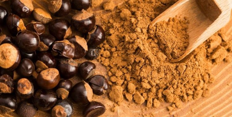 Benefícios do Guaraná em Pó