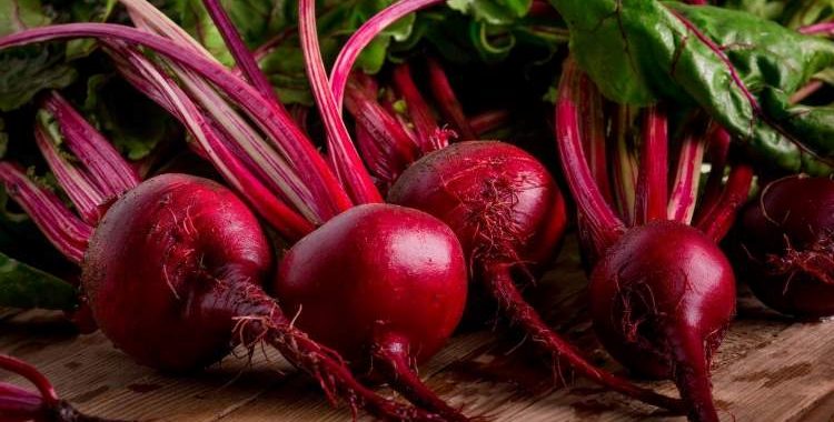 Beterraba: Benefícios Surpreendentes para a Saúde do Coração, Resistência Física e Muito Mais. Saiba mais acessando nosso site