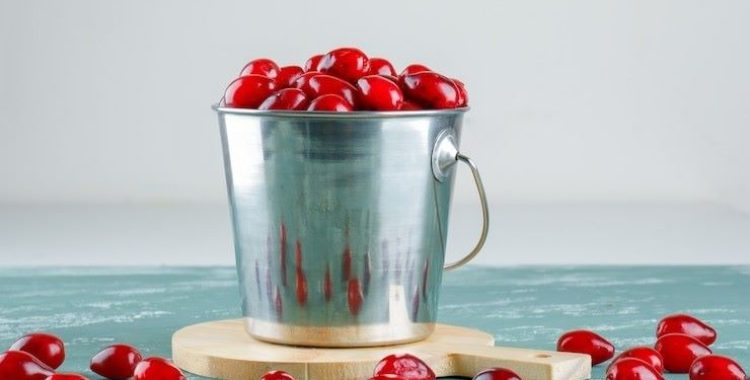 Como Hidratar Goji Berry. Neste artigo, vamos explorar técnicas de hidratação, benefícios para a saúde. Saiba mais em nosso site