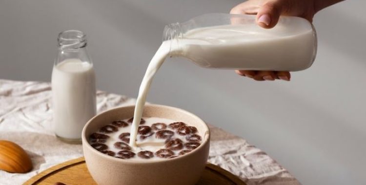 Como consumir leite de aveia no dia a dia