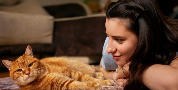 algumas dicas cientificamente comprovadas para ajudá-lo a como-se-relacionar-com-seu-gato. Confira a matéria lá no site