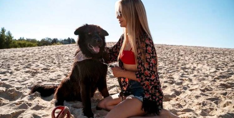 Cuidados Essenciais com os Pets na Praia Cuidados Essenciais com os Pets na Praia