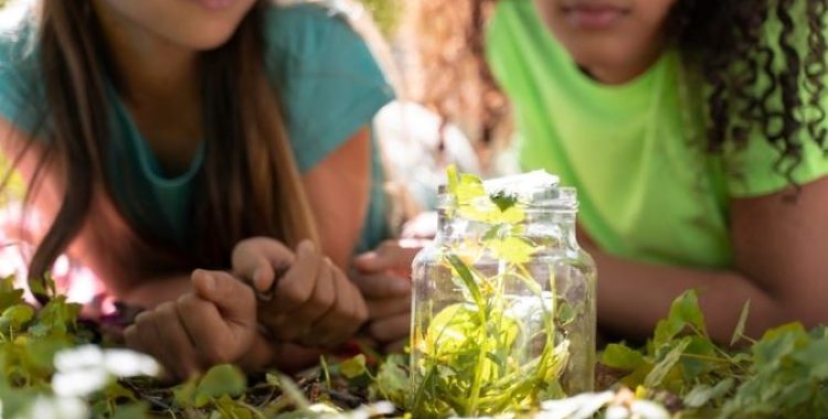 Educação ambiental