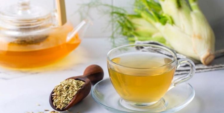 Erva Doce. rica em nutrientes e compostos bioativos que proporcionam diversos benefícios para a saúde. Siba mais em nosso site