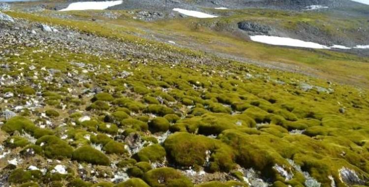 Esta imagem fala sobre Impacto das Alterações Climáticas que o artigo fornece uma visão abrangente dos efeitos das mudanças climáticas