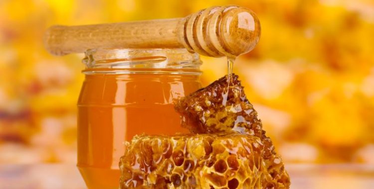 Mel e Abelhas: Verdades e Mitos Revelados! Preparei um post com as informações corretas e algumas curiosidades extras para você