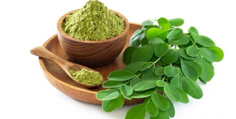 Moringa Oleífera