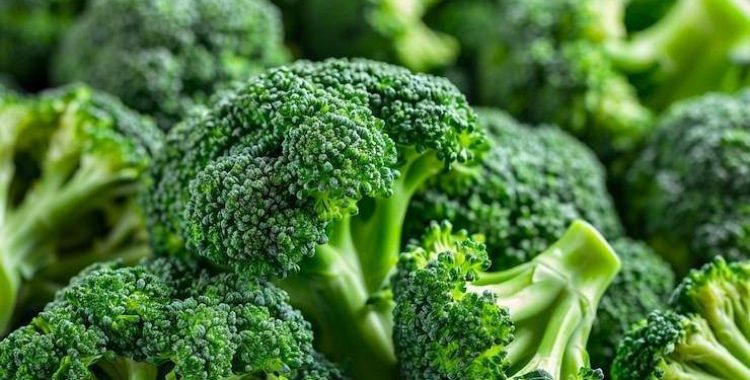 O Superalimento Barato que Protege Contra o Câncer