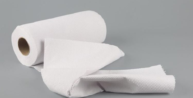 O papel toalha