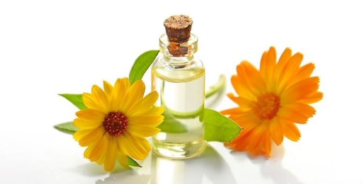 Óleos Essenciais e Cores para Ambientes que Transformam Seu Ambiente de Trabalho e Casa. Saiba mais em nosso site