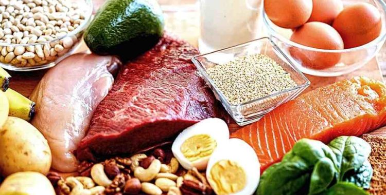 O sucesso no ganho de músculos e perda de gordura corporal depende não apenas da escolha dos alimentos, mas também da consistência e equilíbrio nutricional.