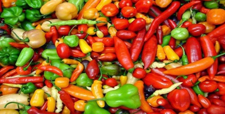 Pimenta – A Importância para o Sistema Imunológico A Importância da Pimenta para o Sistema Imunológico, é possível aproveitar ao máximo seus benefícios para a saúde.