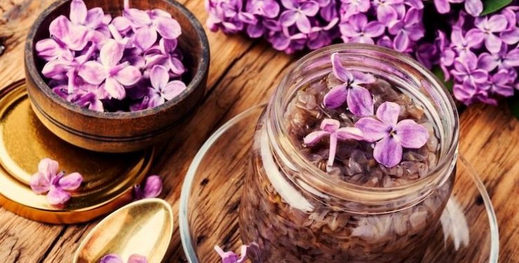 Propriedades Medicinais do Ipê Roxo