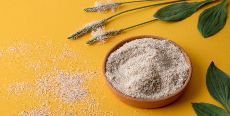 Psyllium: O "Mounjaro Natural" Para Emagrecimento? Desvendando os Segredos Deste Superalimento. Saiba mais acessando nosso site