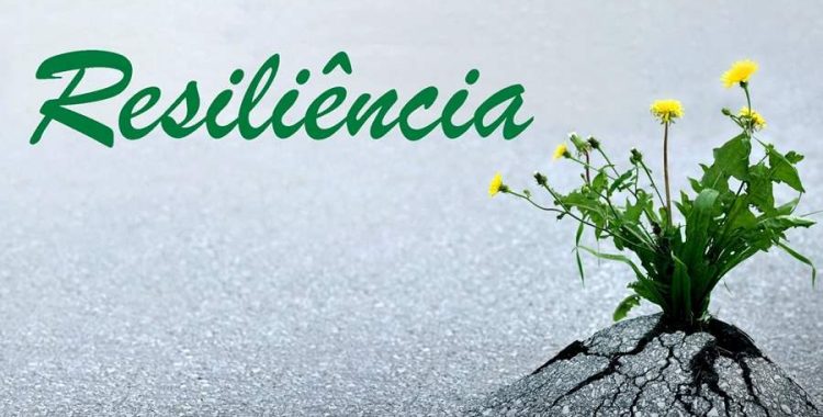 Resiliencia
