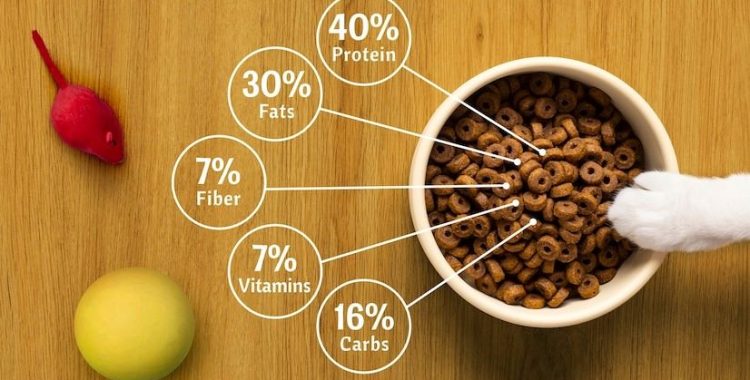 Transição Alimentar