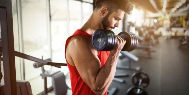 muscular e a saúde do corpo